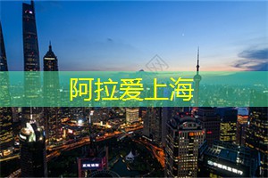 关于上海的黑马运动员介绍
