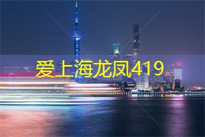 迷失在夜色中的上海新天地